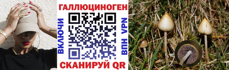 Галлюциногенные грибы GOLDEN TEACHER  Коммунар 